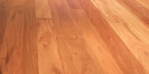 チーク材 Teak Wood